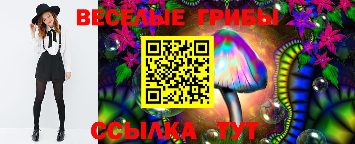 Псилоцибиновые грибы Psilocybine cubensis Самара